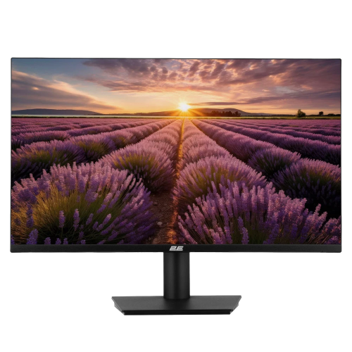 2E B2424B 23.8" 1920x1080 (Full HD)