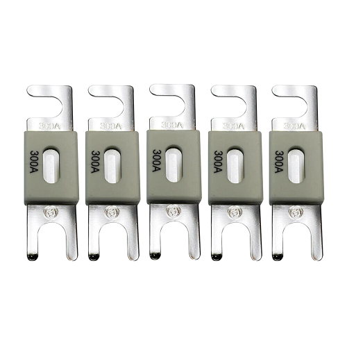 Victron Energy ANL-fuse 300A/80V (5 pc)