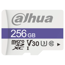 Dahua DHI-TF-C100/256GB