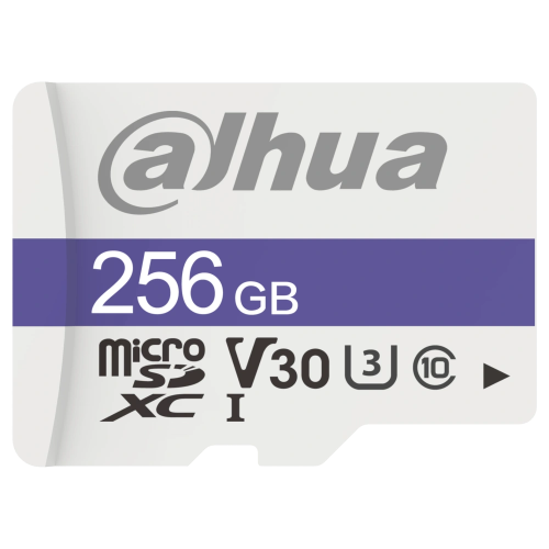 Dahua DHI-TF-C100/256GB