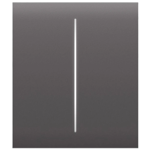 Ajax CenterButton (2-gang) grey для двоклавішного вимикача