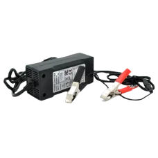 Merlion LiFePO4 12V(14,6V)-5A-60W