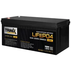 TRINIX TLFP-12200 Ultra 200А•г 12В