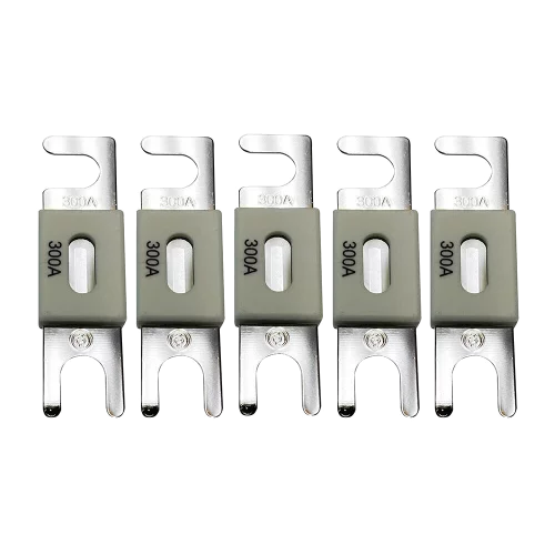 Victron Energy ANL-fuse 300A/80V (5 pc)